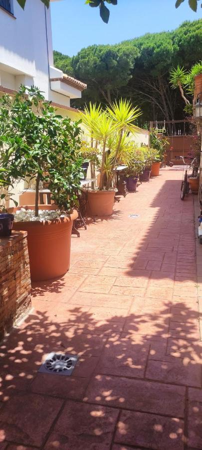 Chalet Con Capacidad Para 8 Personas Chiclana de la Frontera Ngoại thất bức ảnh